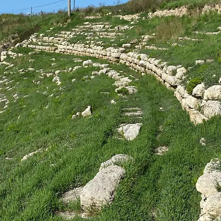 Magarsus Elit